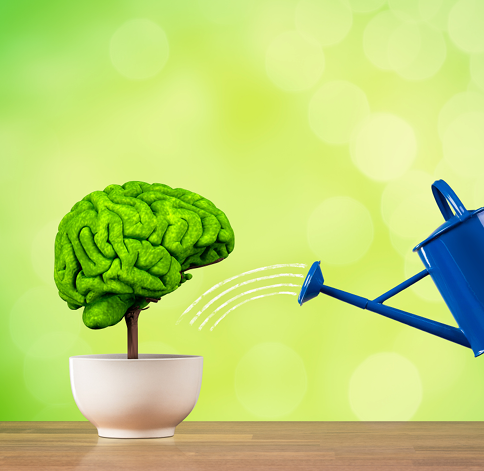 Nurture success by increasing your impact